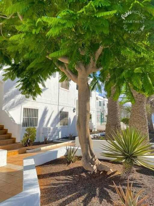 San Valentin Pakky House Appartamento Corralejo Esterno foto